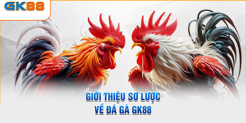 Khám phá những thông tin thú vị về chuyên mục chọi kê GK88